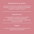 BitterLiebe Pacco figura perfetta