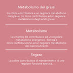 Bitter Boost per il metabolismo* - Pacco mensile (90 Capsule)