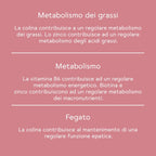 BitterLiebe Pacco linea corpo esterno e interno