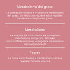 Bitter Boost per il metabolismo* - pacco da 3 mesi (270 pz.)