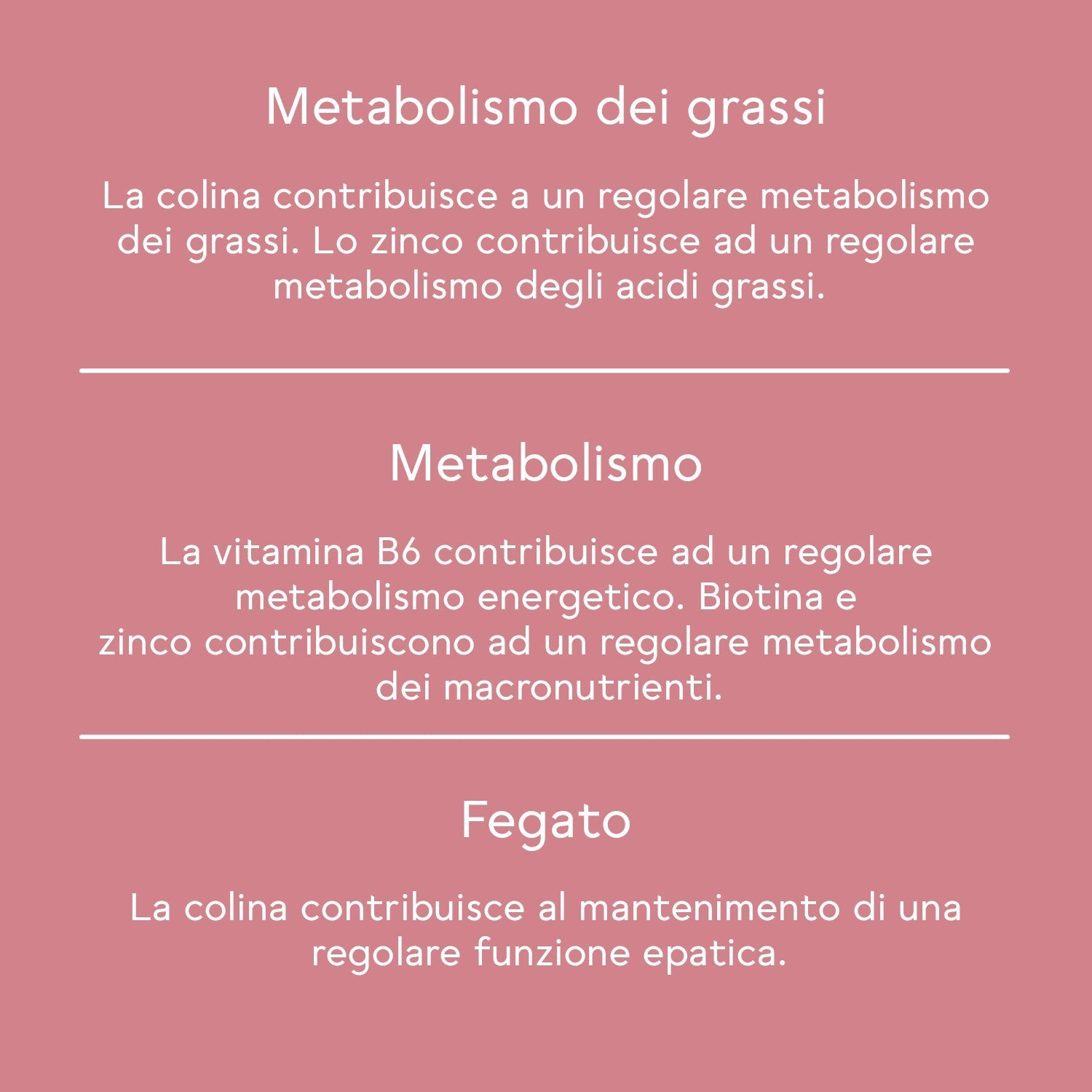 BitterLiebe Pacco Linea Perfetta versione delicata